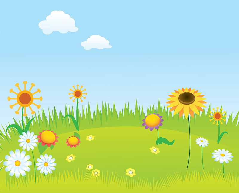 Blooming lawn, skies, grass, summer, flowers, summer time, lawn, HD wallpaper