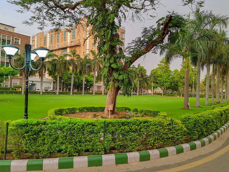 All India Institute of Medical Sciences aiims HD wallpaper  Pxfuel
