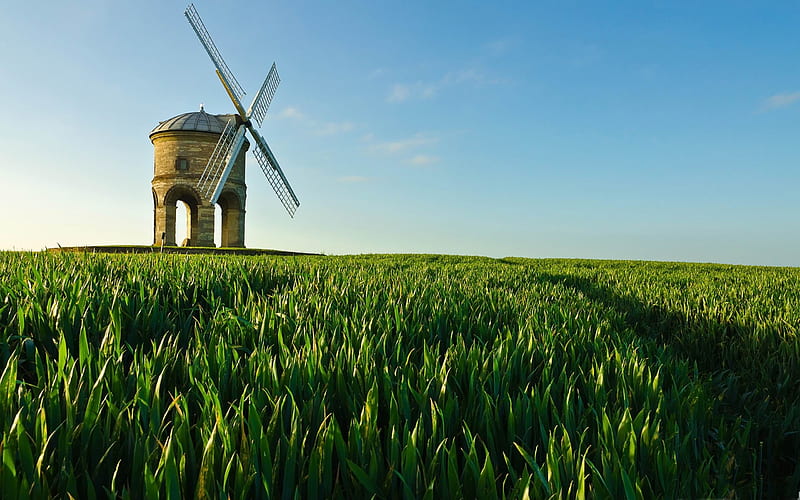 old windmill-Summer Nature, HD wallpaper