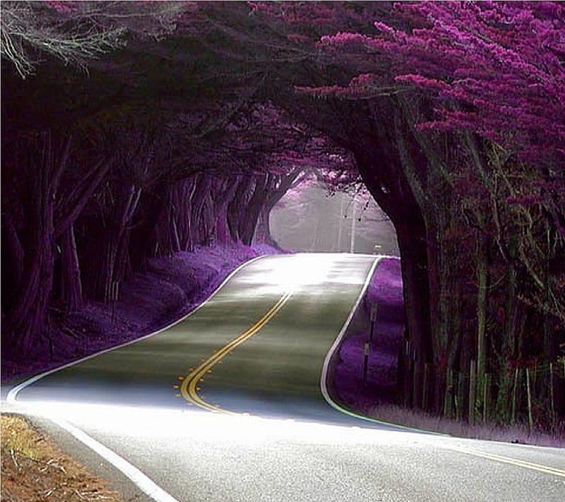 Tunnel, nature, purple, walls, HD wallpaper