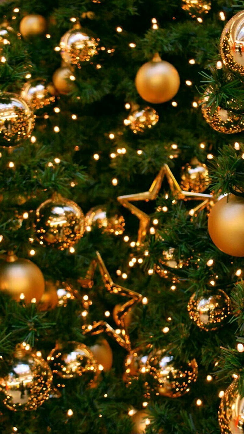 Christmas, celerate, christmas tree, golden, green, holiday, merry, star,  tree, HD phone wallpaper | Peakpx