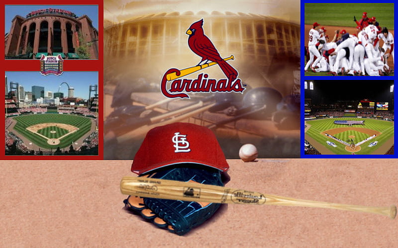 Cardinals Collage, cardinals, collage, saint louis, baseball, HD wallpaper