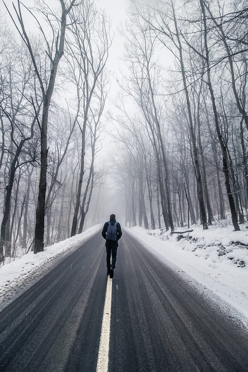 fog, man, snow, trees, road, loneliness, HD phone wallpaper