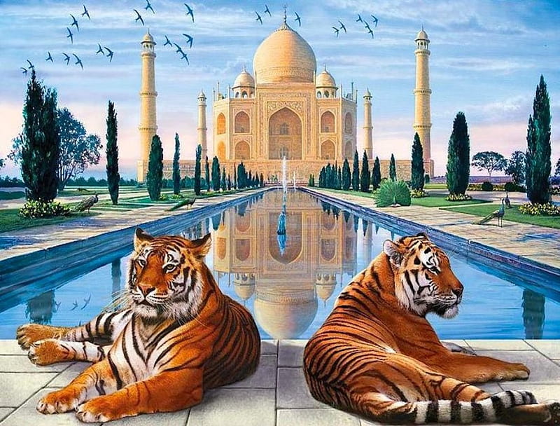 Taj Mahal, sign, bonito, tiger, india, monument, water, mirror, mausoleum, animals, HD wallpaper
