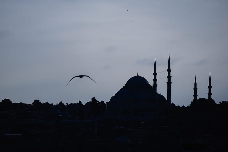 Istanbul Mosque, architectural, architecture, monument, mostafa metaji, silhouette, tourism, turkey, HD wallpaper