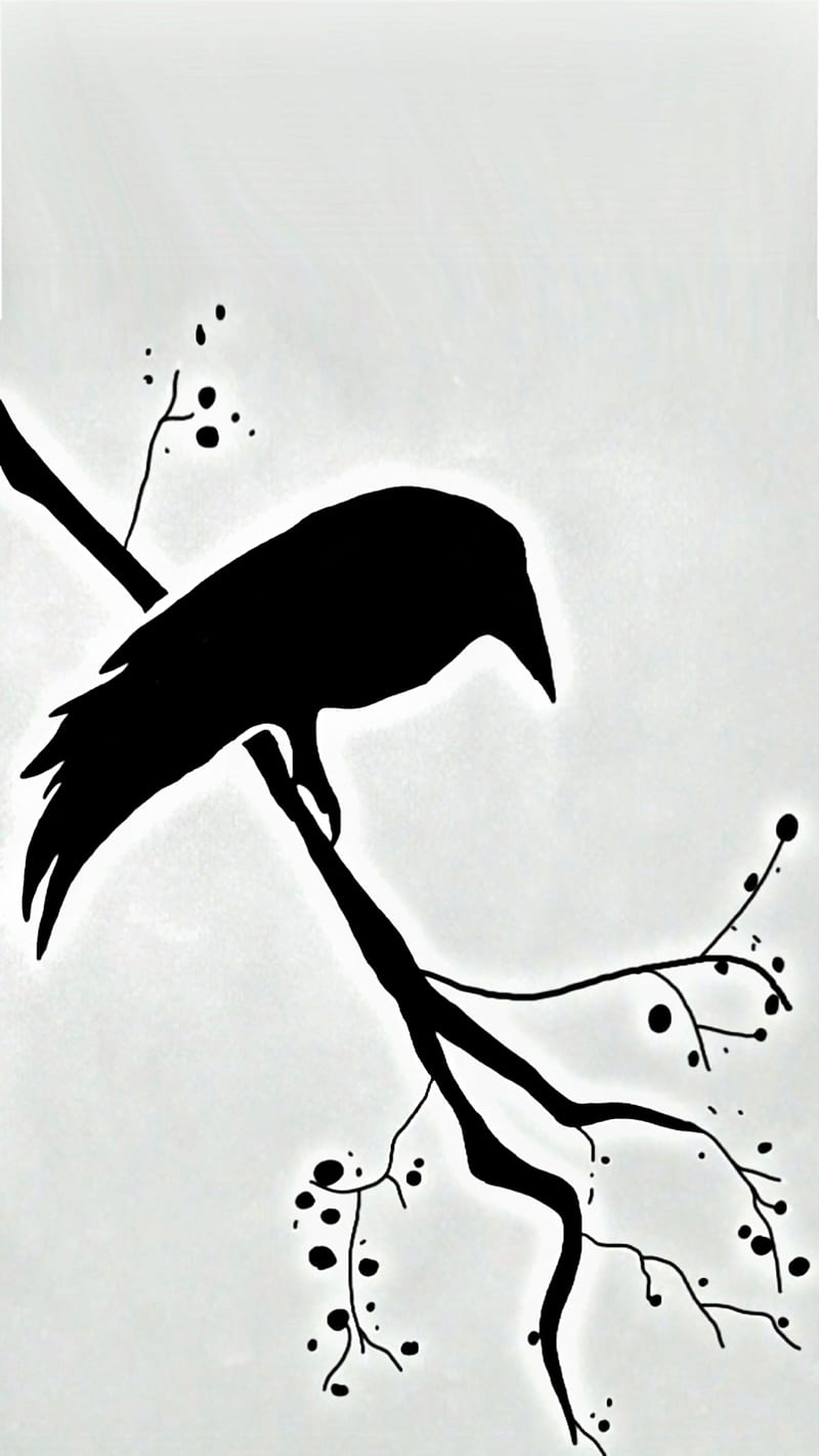 Bird, beauty, crow, crows, daek, dark, desenho, draw, ravens, white and black, HD phone wallpaper
