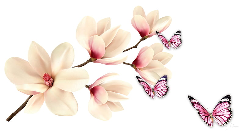 Maganificent Magnolias, Firefox theme, magnolias, fragrant, flowers, butterflies, pink, floral, flora, HD wallpaper