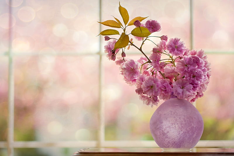 Purple love, flower, vase, wonderful, love, HD wallpaper | Peakpx
