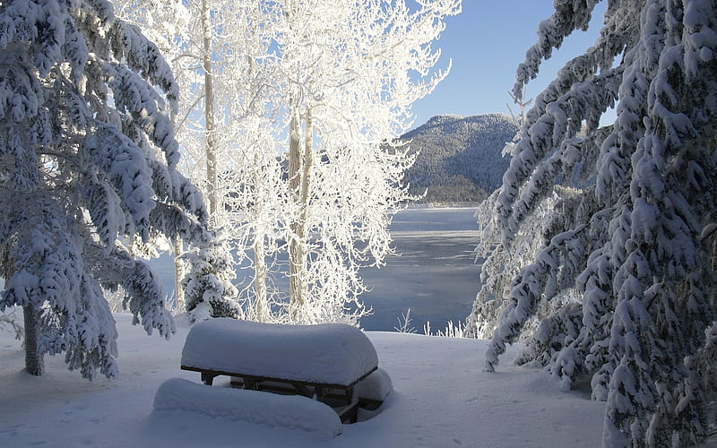 Canim Lake, Canada, snow, trees, lake, winter, frost, HD wallpaper