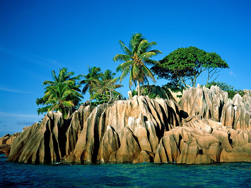 Paradise Setting, exotic, ocean, nature, tropical, coast, palm trees, HD wallpaper