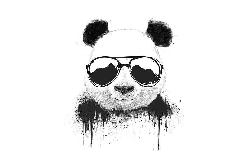 Funny panda cartoon animals, minimal, white backgrounds, pandas, panda  minimalism, HD wallpaper | Peakpx