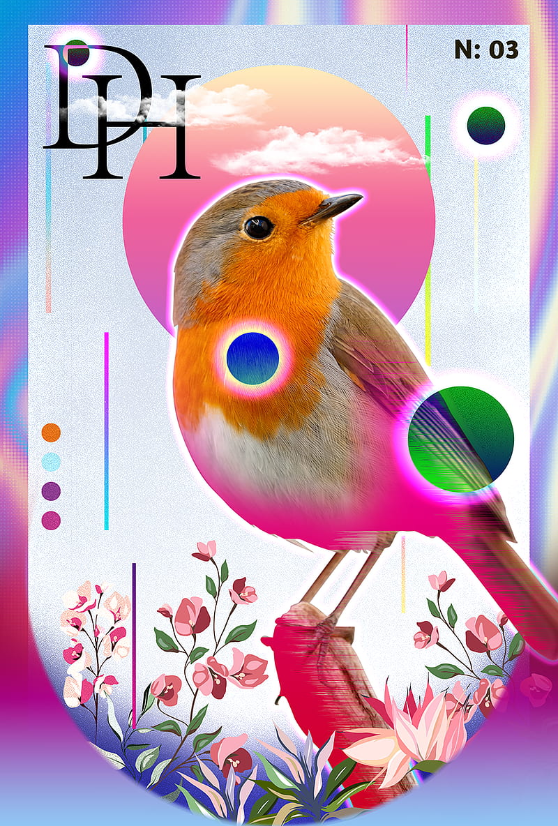bird of prey, HD phone wallpaper