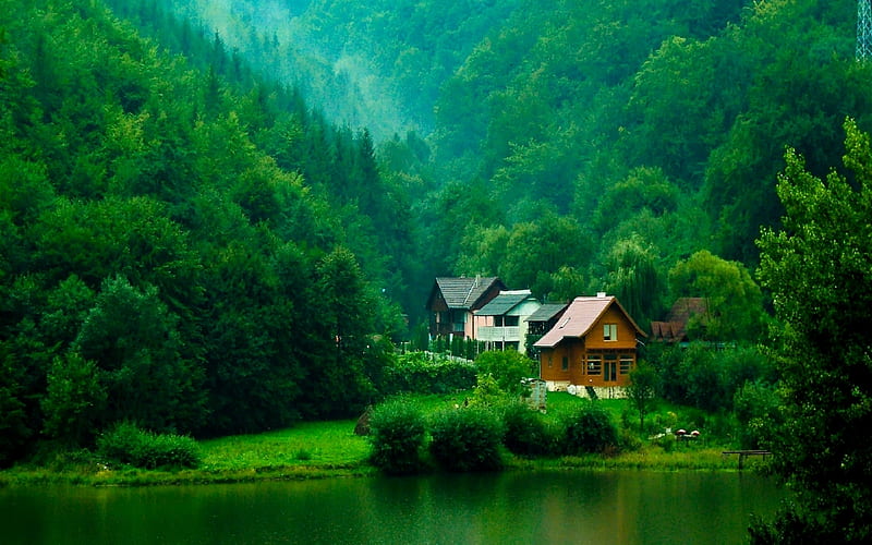 House With Green Forest, forest, house, green, nature, trees, lake, HD wallpaper