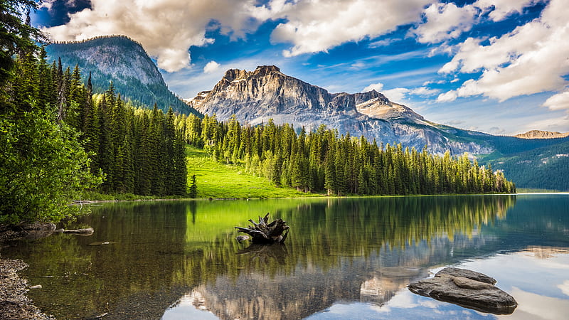 emerald lake, banff national park, canada, reflection, scenic, Landscape, HD wallpaper
