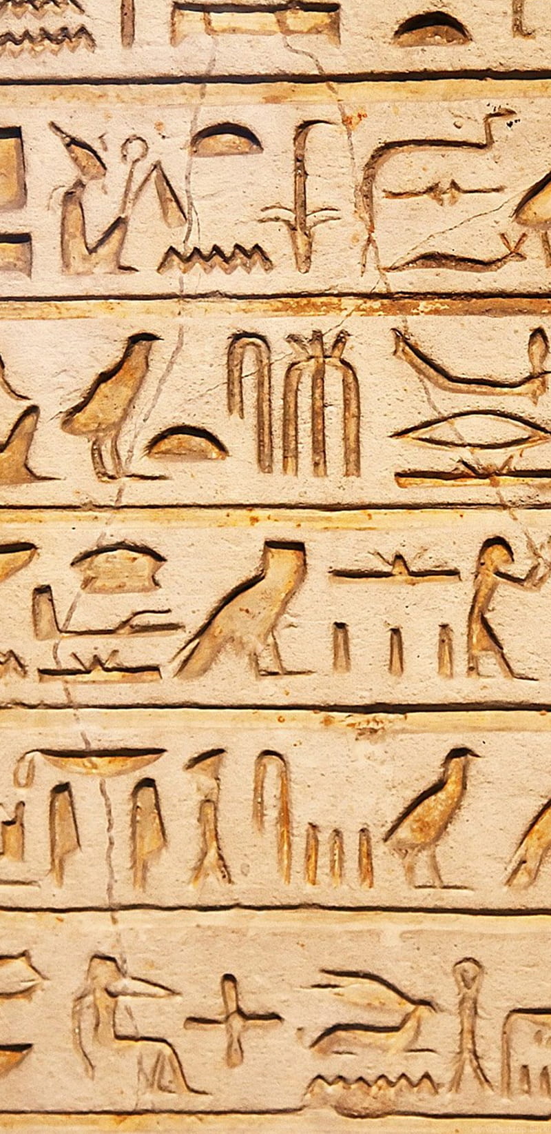 symbols, archeology, Egypt, writing, hieroglyphics | 2560x1600 Wallpaper -  wallhaven.cc