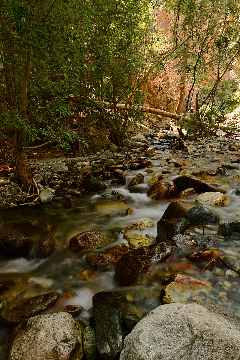 river, stream, stones, trees, water, HD phone wallpaper