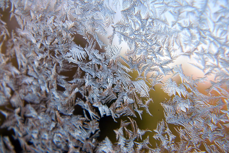 First Frost, ice, winter, HD wallpaper | Peakpx