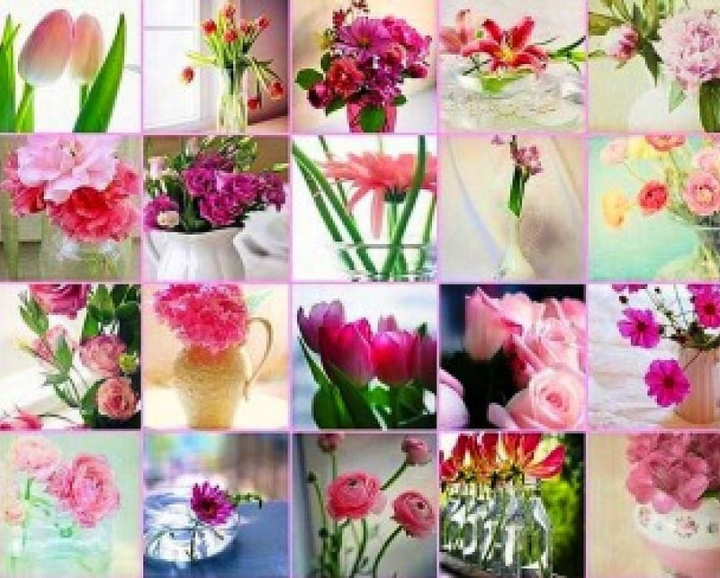 Pink flowers in different nuances, colorful, nuances, different, lilies, various, spring, roses, peonies, summer, flowers, nature, tulips, pink, HD wallpaper