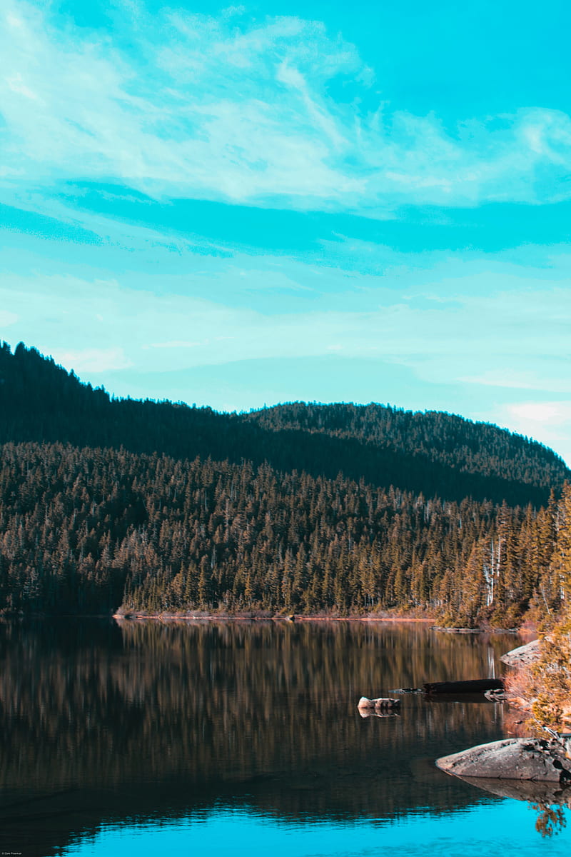 lake, trees, sky, reflection, HD phone wallpaper