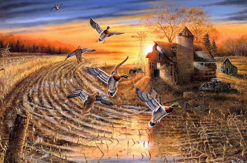 Evening Refuge, painting, ducks, sunset, artwork, field, landscape, HD wallpaper