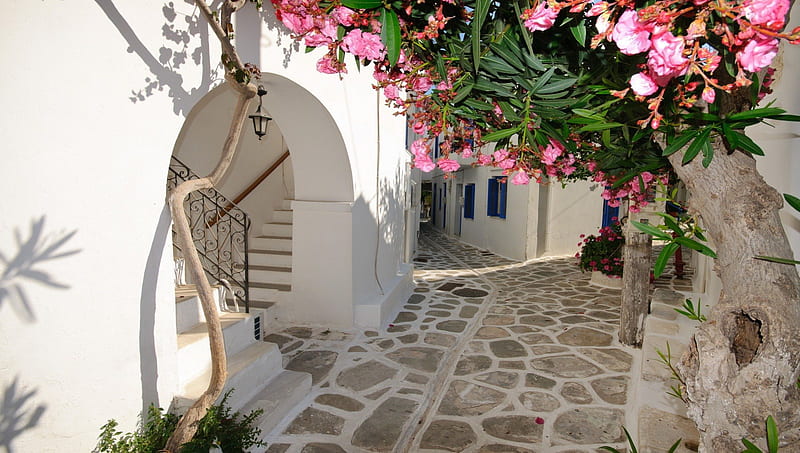 lovely side street in a greek village, tree, stree, flowers, cobblestones, stairs, alley, HD wallpaper