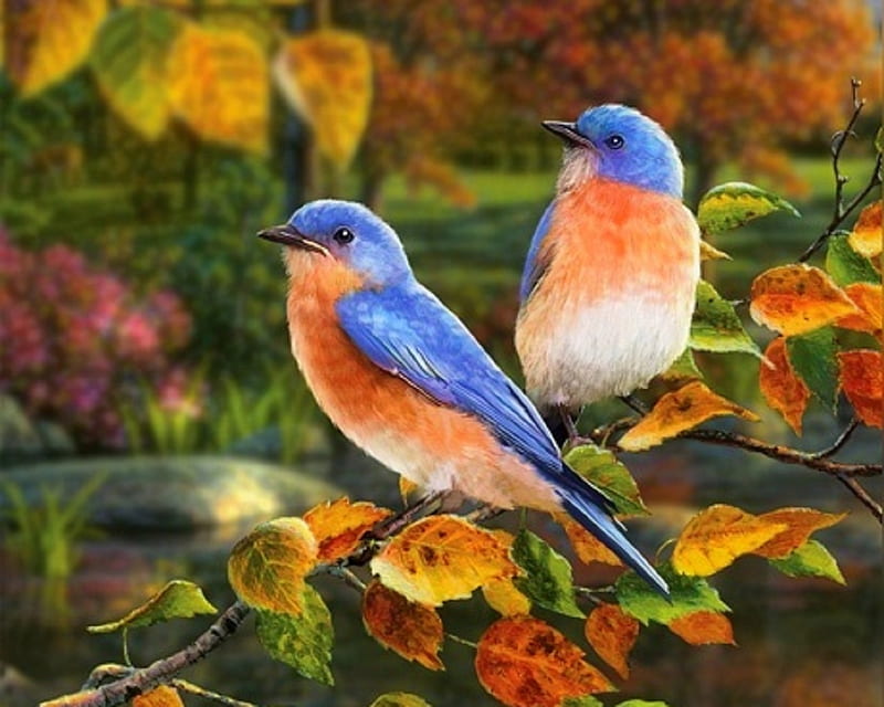 Autumn Blessings, fall season, autumn, bluebirds, birds, love four season, attractions in dreams, leaves, branches, couple, animals, HD wallpaper