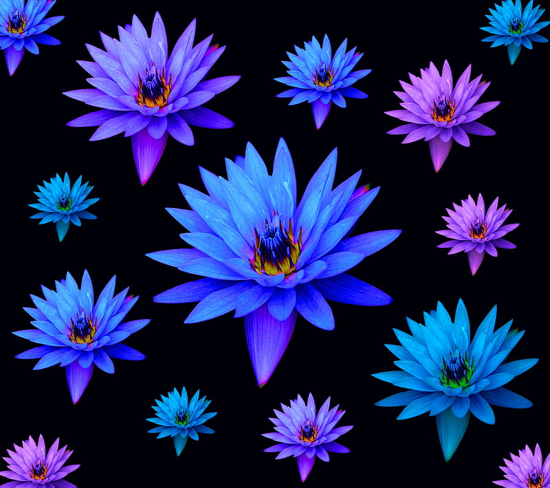 Many Flowers S5, abstract, blue, flower, lotus, pink, purple, xperia, z1, HD wallpaper