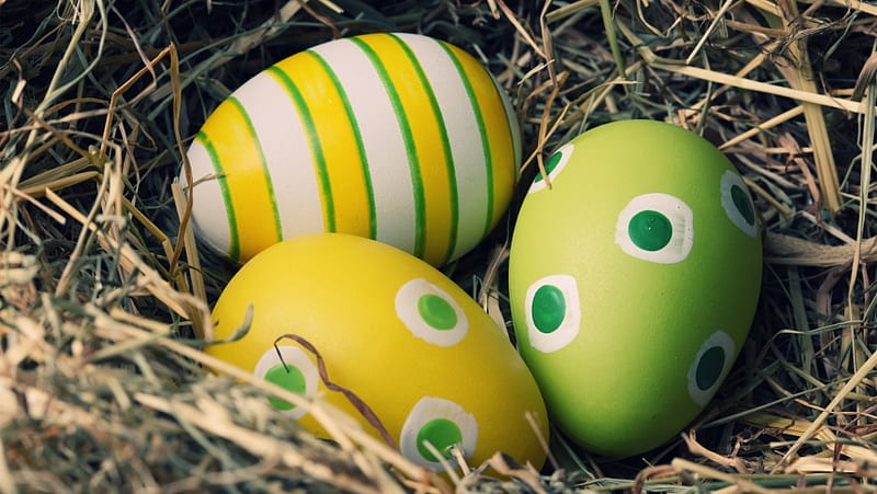 Hand Painted Easter Egg, HD wallpaper