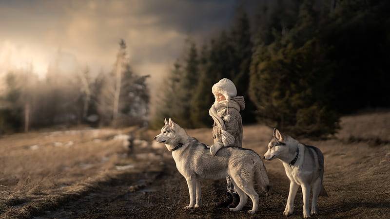 Cute Little Girl Is Standing Near Two Dogs In Forest Background Wearing Woolen Knitted Dress And Cap Cute, HD wallpaper