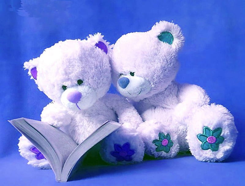 Sky Blue Teddy Bears, Sky, Teddy, Book, Bears, White, Blue, HD wallpaper