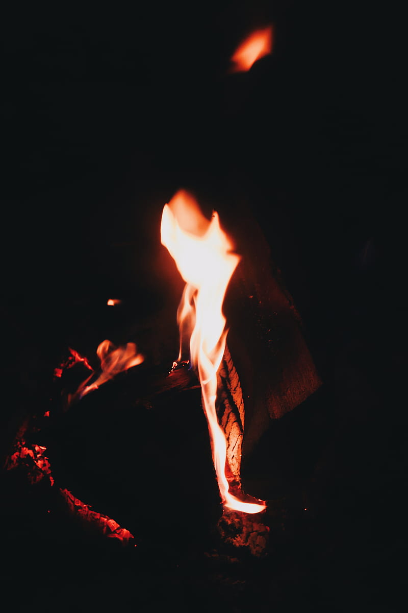 fire, flame, burn, bonfire, night, dark, HD phone wallpaper