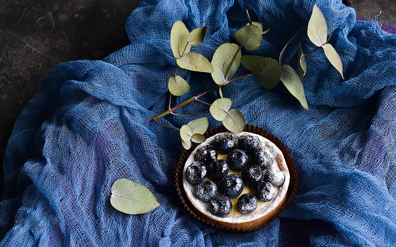 Blueberry pie, Branch, Fabric, Food, Berries, HD wallpaper