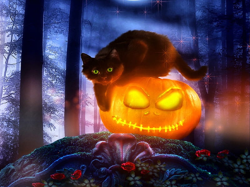 Ghost Black Cat Halloween by MaDonna  Fantasy  Abstract Background  Wallpapers on Desktop Nexus Image 2028404