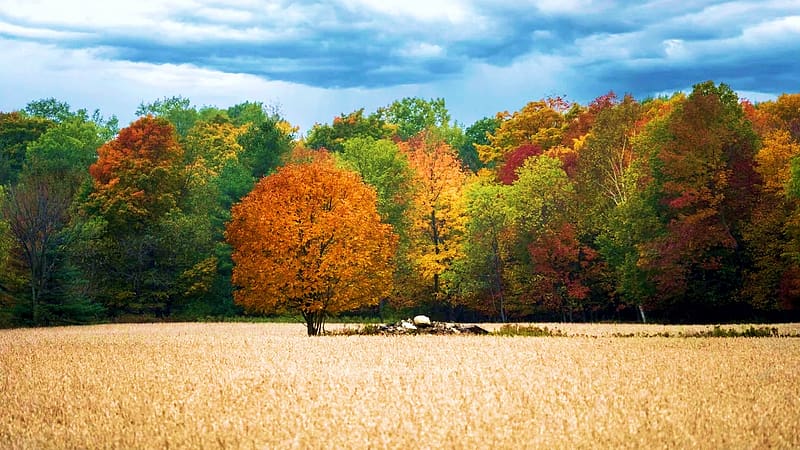 Door County, Wisconsin, colors, trees, sky, autumn, clouds, HD wallpaper