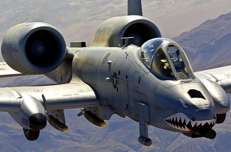 A-10 Warthog, aircraft, thunderbolt, warthog, military, a10, jet, HD wallpaper