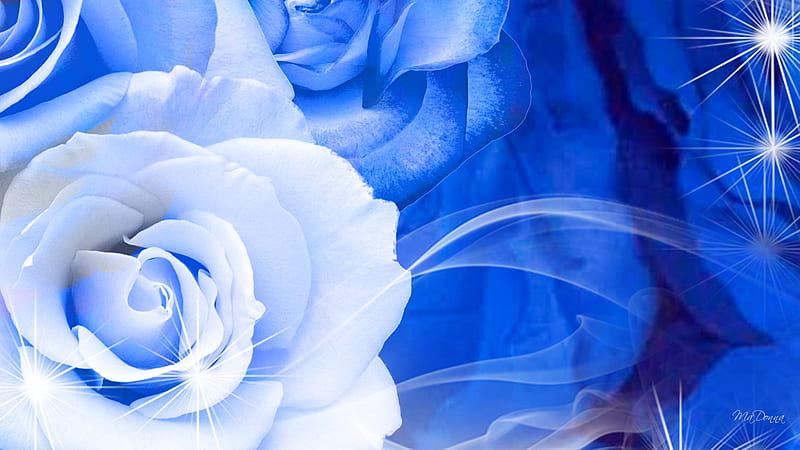 Rose So Blue, smoke sparkle, rose, flower, white, abstract, blue, HD  wallpaper | Peakpx