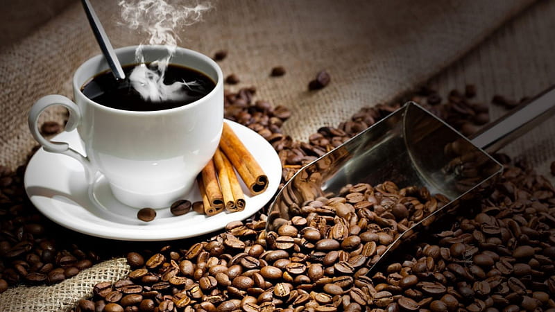 Cup of coffee and cinnamon sticks, Cinnamon, Coffee beans, Cup, Coffee, HD wallpaper