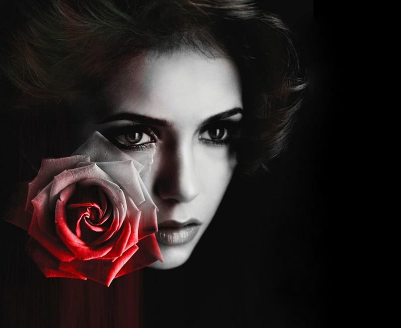 One more try rose expression, new, color, HD wallpaper | Peakpx