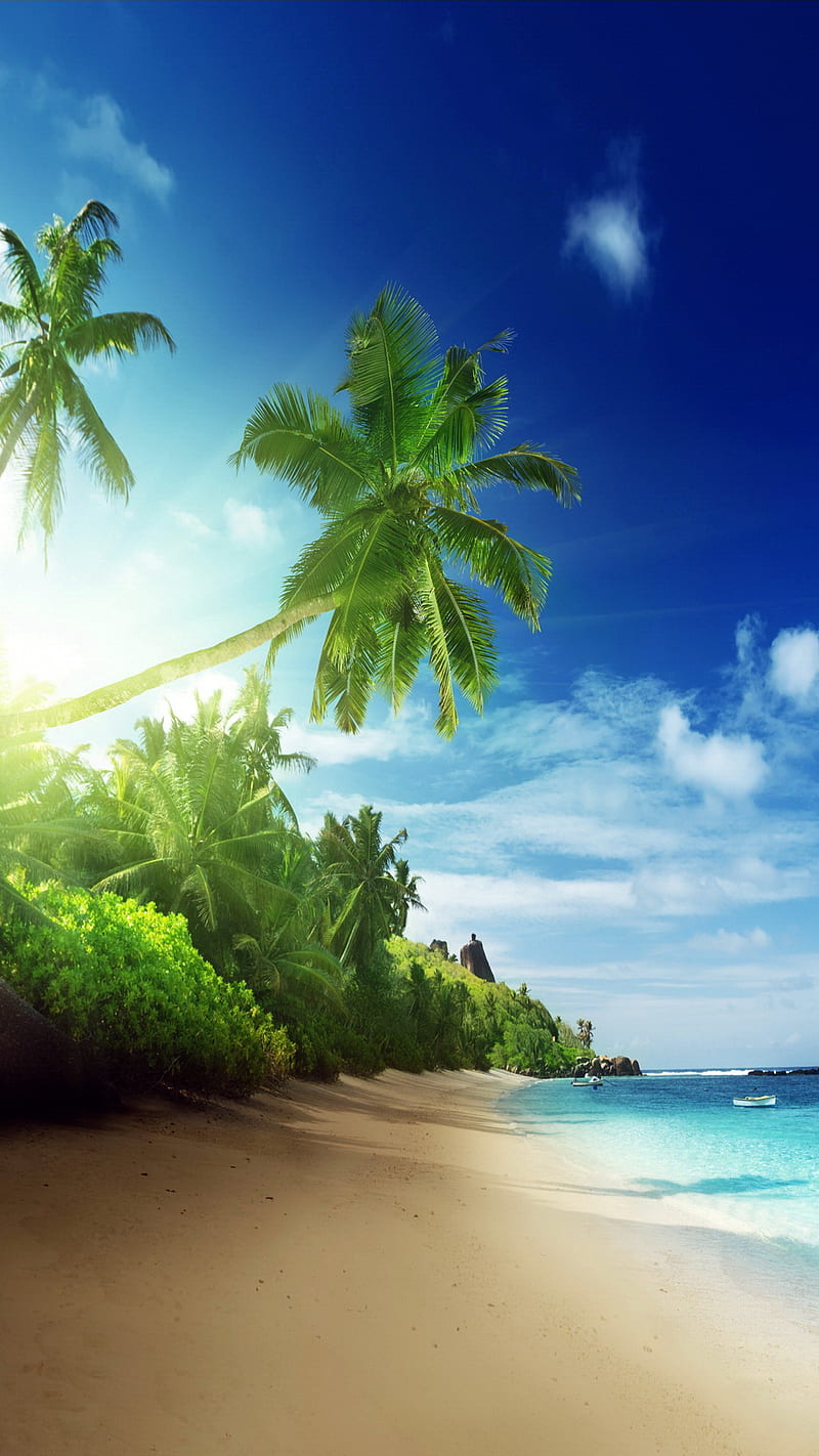 Tropical Paradise, beach, palms, sea, HD phone wallpaper | Peakpx