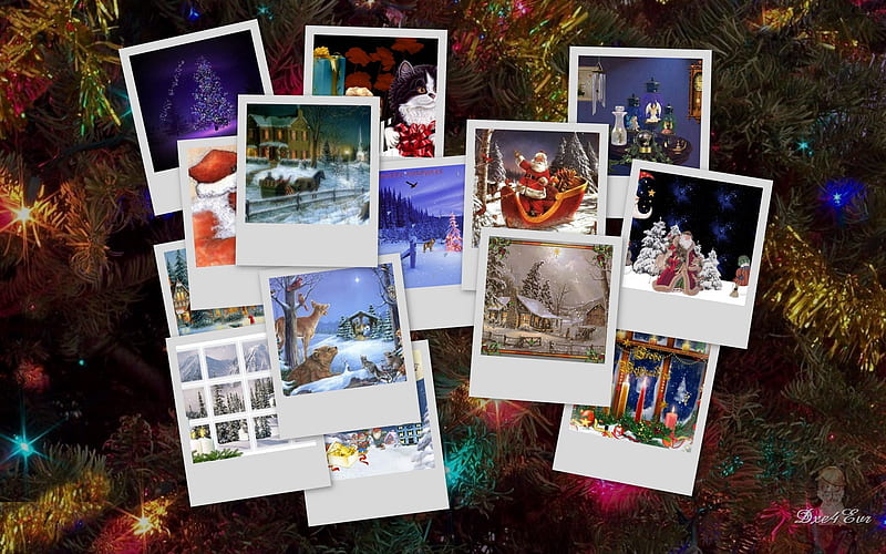 Christmas Tree background, , tree, christmas, holiday, decorations, season, xmas, HD wallpaper