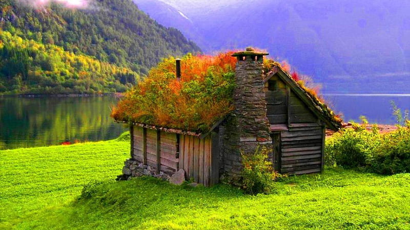 crazy roof on a hut by a lakeside, shore, hut, roof, lae, grass, plants, HD wallpaper