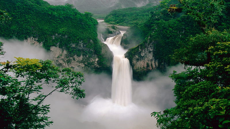 Green Forest Waterfall, green, forest, waterfall, nature, HD wallpaper
