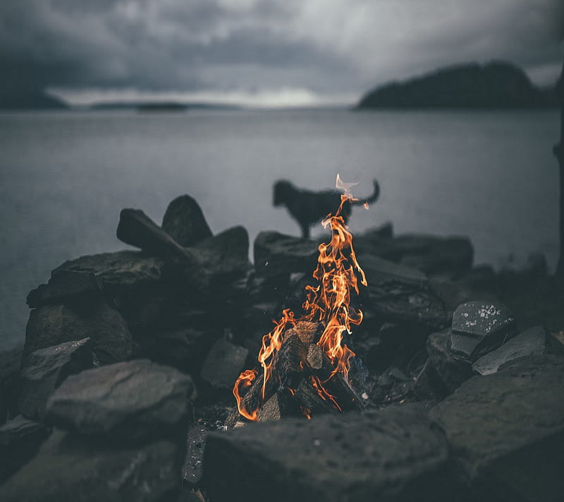 Fire, beach, camp, sea, HD wallpaper