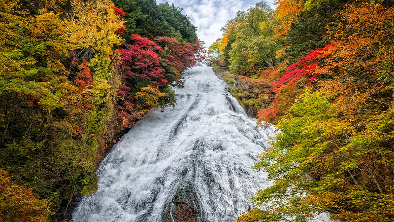 Waterfall Between Colorful Trees Under Cloudy Sky During Daytime Nature, HD wallpaper