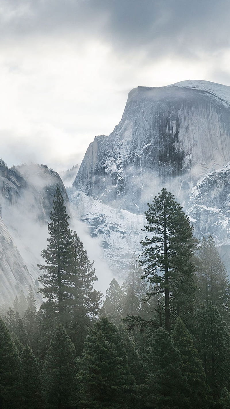 SMoky Mountain Top, blue, cloud, green, mountains, snow, tree, white, HD phone wallpaper