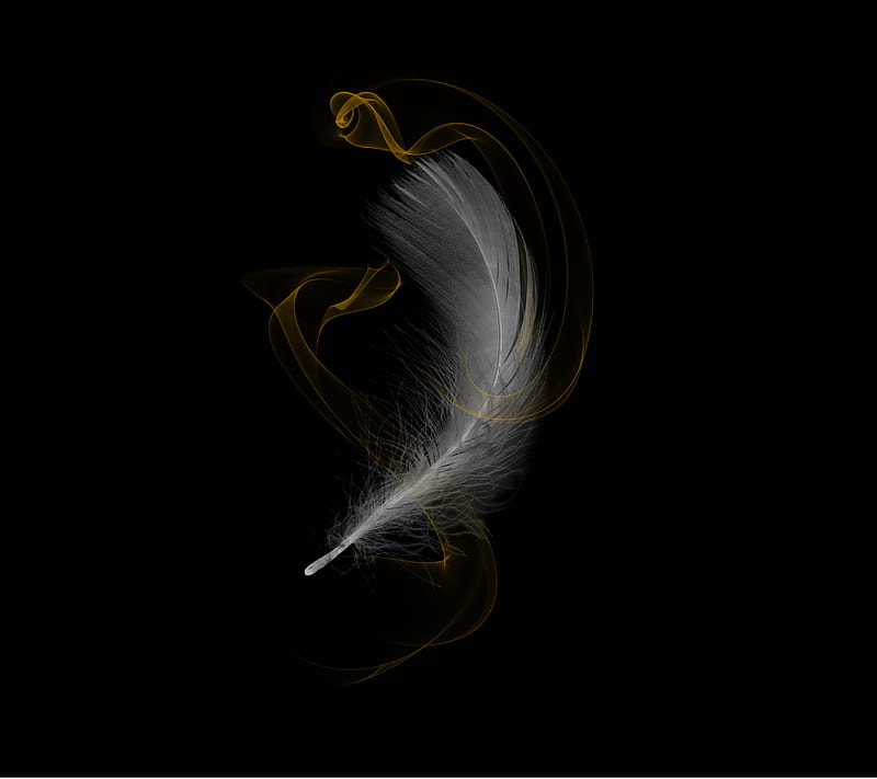 One Feather DR, cool, love, style, HD wallpaper