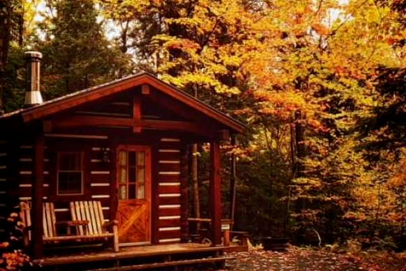 Rustic Cabins And Cottage In Canada Rustic Cabins Cottage Trees   HD   Rustic Cabins And Cottage In Canada Rustic Cabins Cottage Trees Canada Quebec 