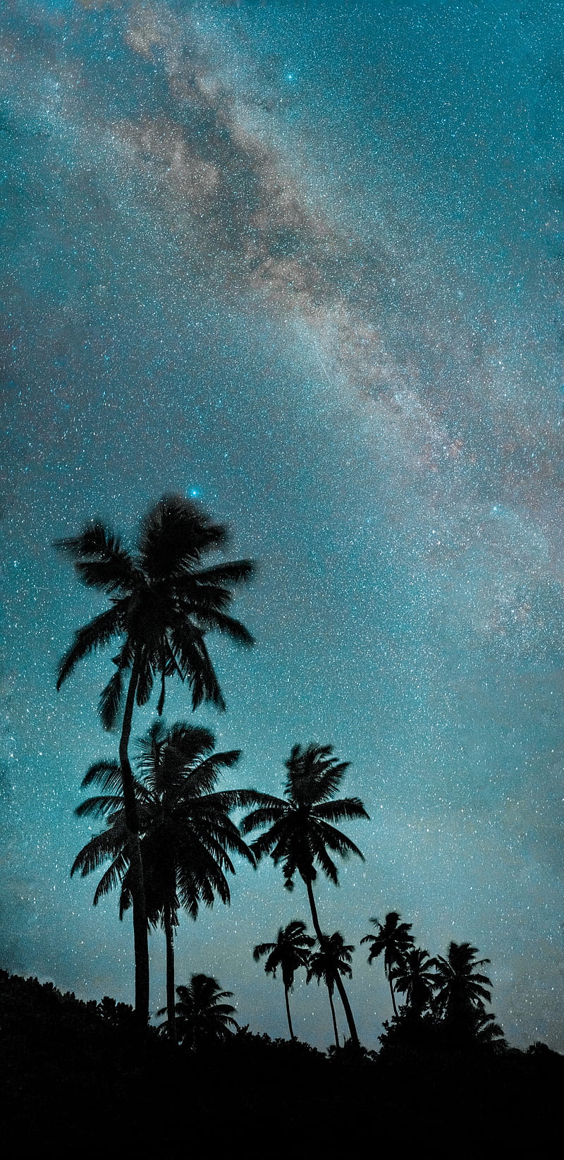 palm trees, night, starry sky, dark, milky way, HD phone wallpaper