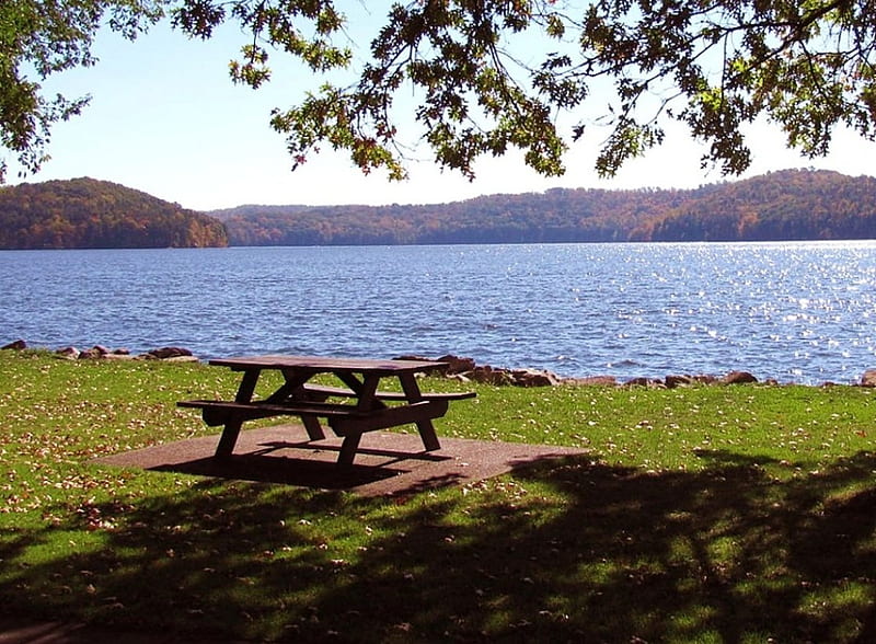 Anyone Want to Join Me, table, fall, autumn, nature, lonely, picnic, lake, HD wallpaper