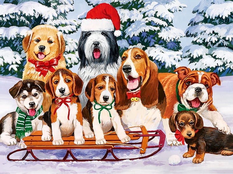Sled Dogs FC, bonito, sheep dog, artwork, canine, animal, golden retiever, basset hound, painting, wide screen, art, bull dog, pets, dachshund, winter, snow, beagles, husky, dogs, HD wallpaper